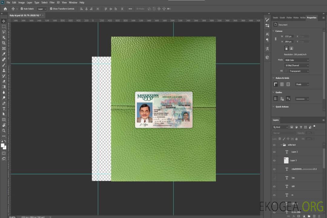 USA Mississippi DL photolook AVANT template